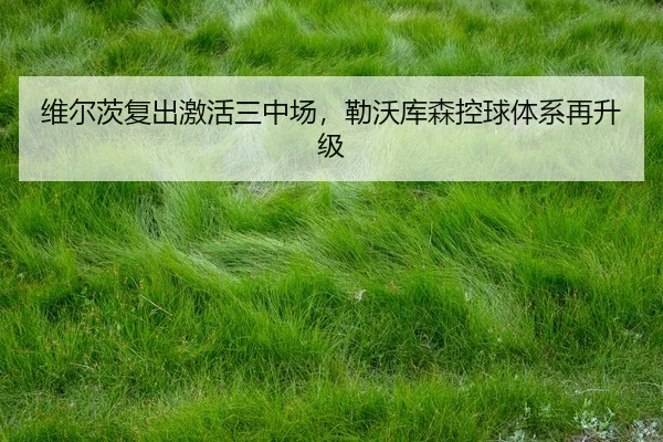 wei-er-ci-fu-chu-ji-huo-san-zhong-chang-lei-wo-ku-sen-kong-qiu-ti-xi-zai-sheng-ji-3-476.jpg