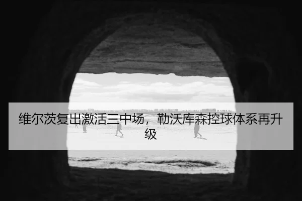 维尔茨复出激活三中场，勒沃库森控球体系再升级