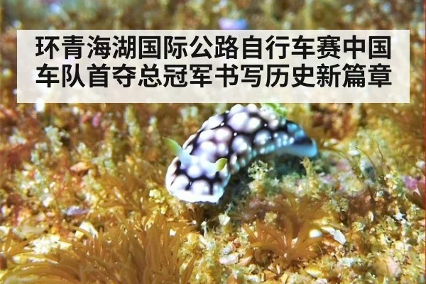 环青海湖国际公路自行车赛中国车队首夺总冠军书写历史新篇章